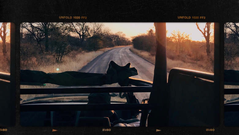 Cosa vedere al Kruger, safari