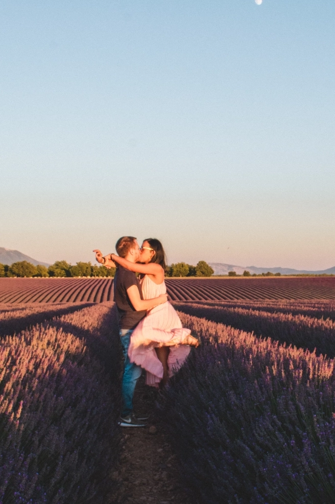 campi di lavanda copertina mobile