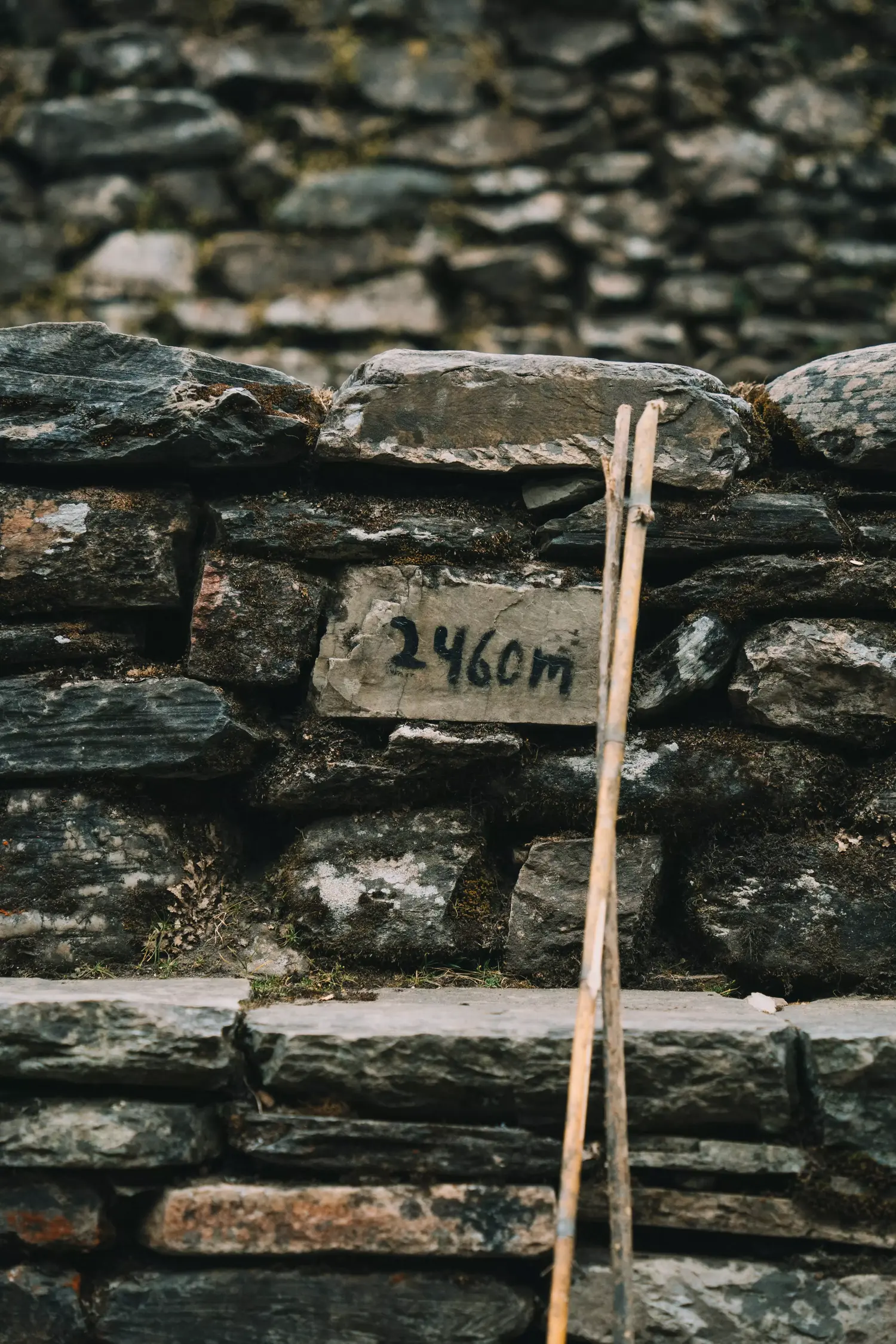 cartello trekking 2460m