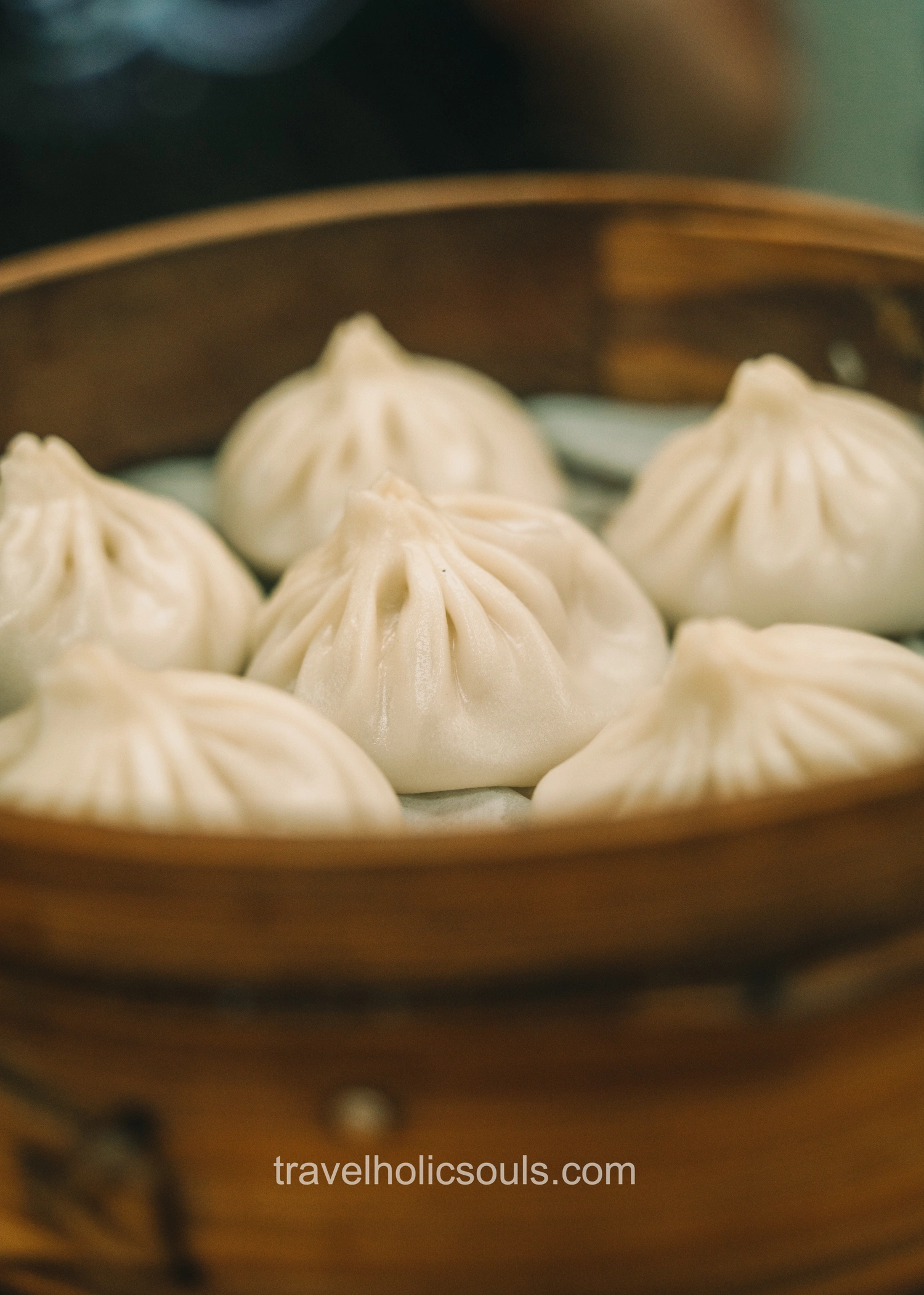 dumplings primo piano