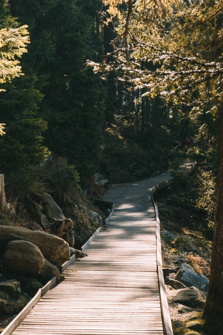 escursioni in montagna copertina mobile