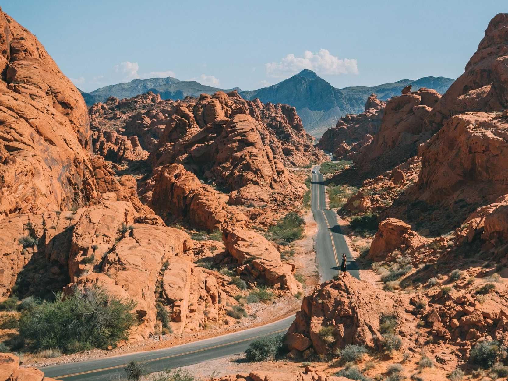 Immagine copertina USA mobile