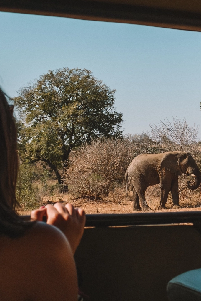 sudafrica copertina mobile