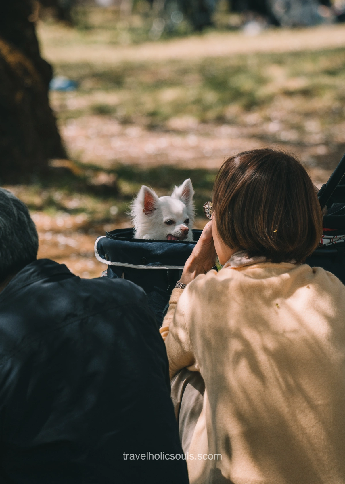 quale stagione visitare Tokyo